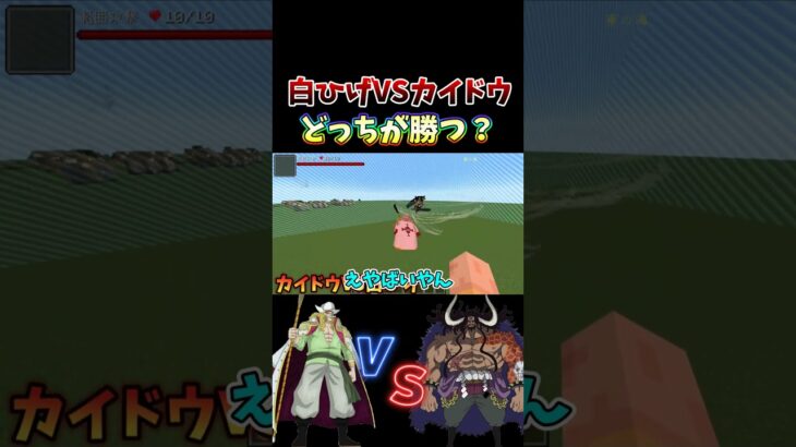 白ひげVSカイドウどっちが勝つ？ 【マインクラフト】【ワンピースMOD】