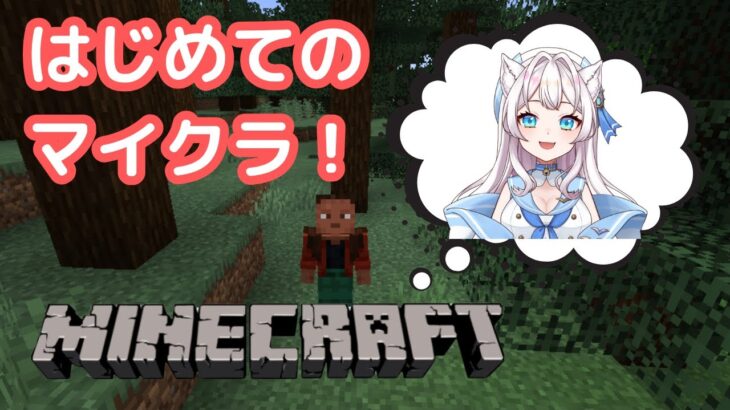 【#マイクラ 】エンチャントしてみたい！みじかめ！【海猫みら】  #新人VTuber