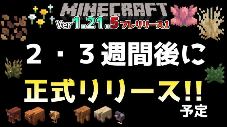 【マイクラ情報】Ver1.21.5 2・3週間後にSpring Drop【春の小規模アップデート】正式リリース!? Java版マインクラフト・Ver1.21.5・プレリリース1 今後のアップデート情報