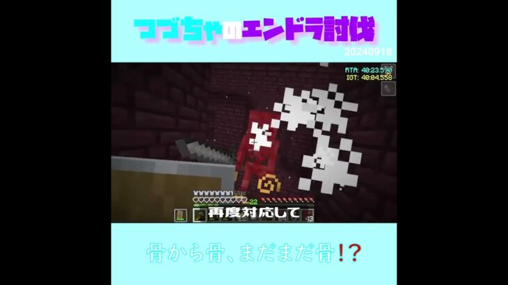 【マイクラ】骨から骨、まだまだ骨！？　 fromつづちゃのエンドラ討伐！2024/09/18　#Minecraft　#Shorts　#rta