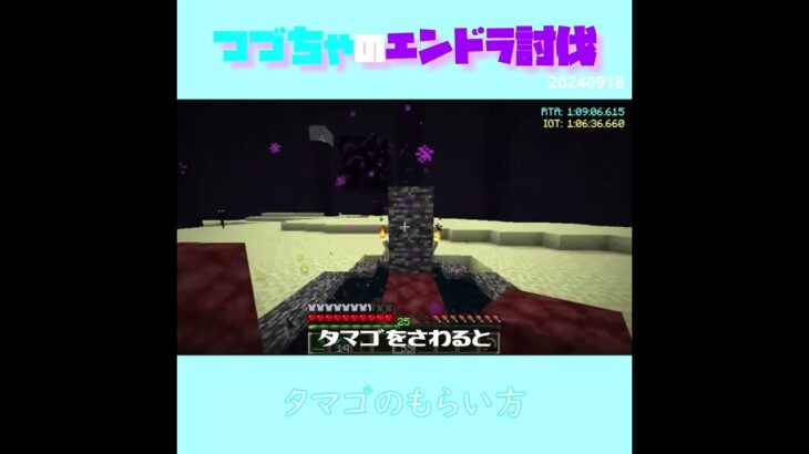 【マイクラ】タマゴのもらい方　 fromつづちゃのエンドラ討伐！2024/09/18　#Minecraft　#Shorts　#rta