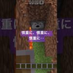 【マイクラ】慎重に降りたけど、弓矢にやられる #minecraft #マイクラ #マインクラフト #実況 #ゲーム #ゲーム実況 #建築 #まいくら #ゲーム大好き #小学生