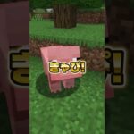 【最後ヤバい】ピンクを見てはいけないマイクラ！ #マイクラ #minecraft #新人歌い手