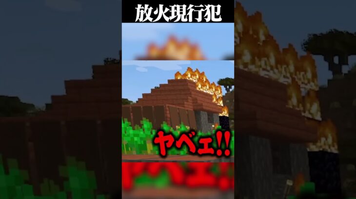 村人の家を全焼させてしまったドコムス #minecraft   #ドコムス切り抜き #マイクラ