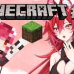 【 #minecraft   】家…？を建てたから次は…？#6【夢狼ちむ】