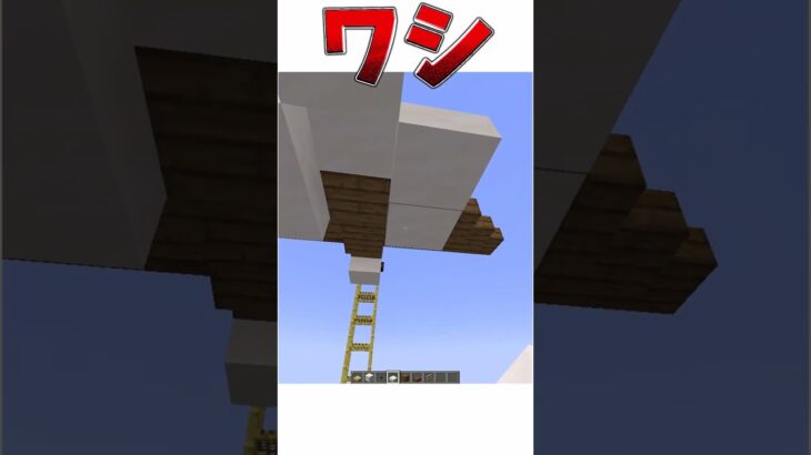 [マイクラ建築]ワシがわりと鷲 #minecraft