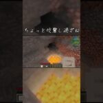 ビビり散らかしっぱなしのマインクラフトプレイ #minecraft #マイクラ #Mod