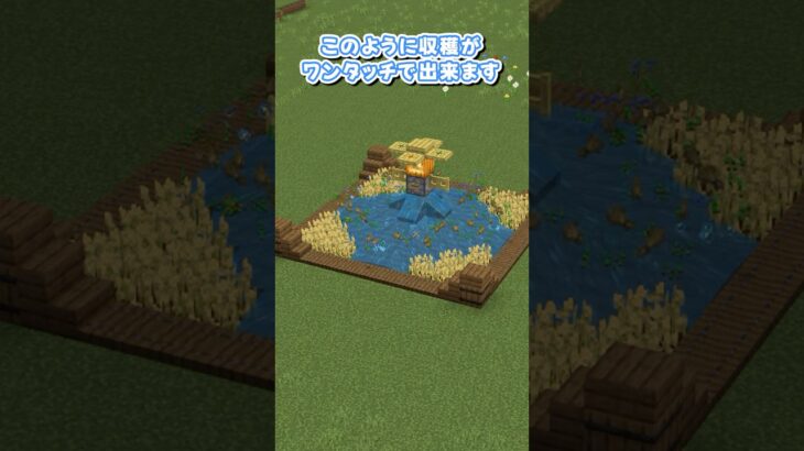 自然な水流式自動畑の作り方～かかし付き～【マイクラ建築/作り方】#マイクラ #minecraft #マイクラ建築 #shorts #ゆっくり実況