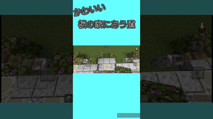 可愛い  桜の家にあう道の作り方  #minecraft  #マインクラフト #たまクラ #shorts