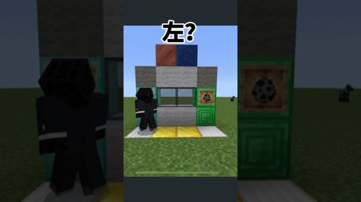 鯖メンに右左やらせたら爆笑案件(マイクラ ）#マイクラ #minecraft #shorts