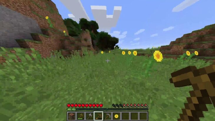 マイクラ 寄生虫mod