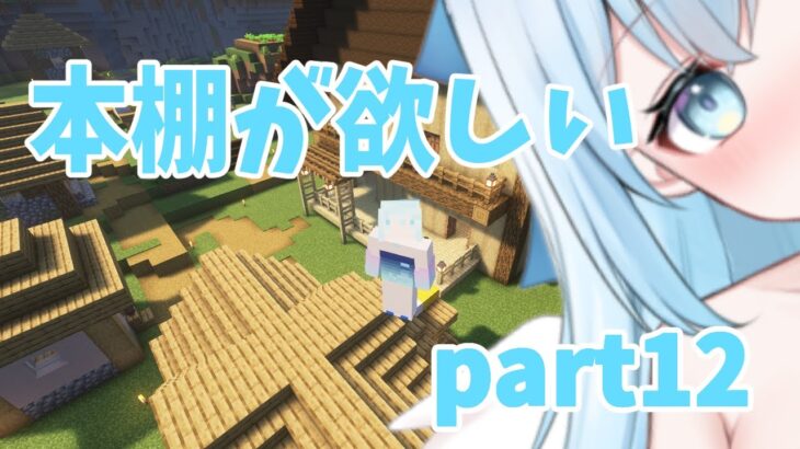 夜のマイクラ、エンチャントんｐ本棚が欲しいpart12