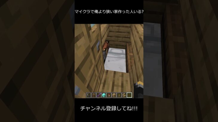 俺より狭い家作った人いる??? #shorts #マイクラ