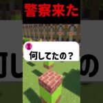 家に警察来た時の対処法#shorts  #マイクラ #マインクラフト