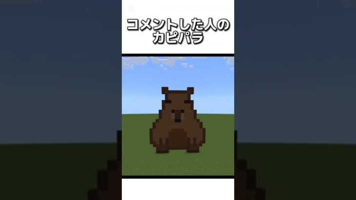 〇〇した人のカピバラ #マイクラ #マインクラフトswitch #マインクラフト#minecraft #まいくら #スイッチ