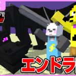 ハードコアエンドラ討伐！！たいたいとクリアするまでやる！！【マイクラ・ゆっくり実況】