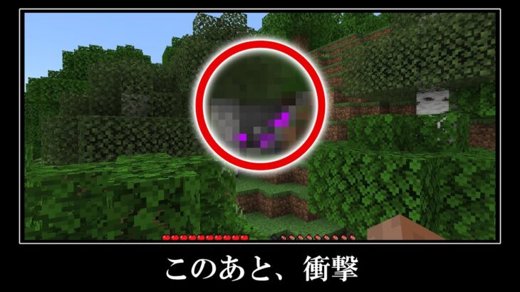 【衝撃】こんなのアリ？マイクラの超激レアなシード値５選【統合版】