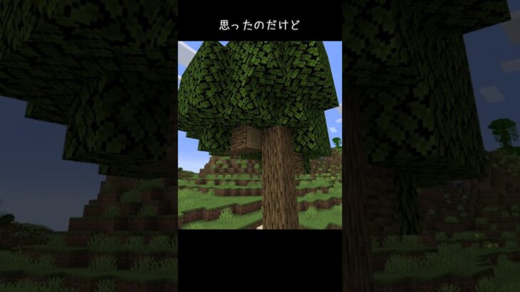 巨大オーク原木 #巨大建築 #マイクラ