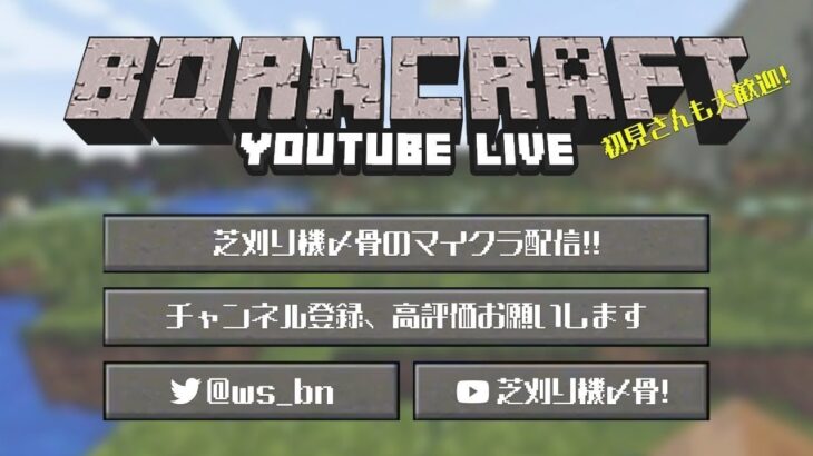 【マイクラ】おはよう！！