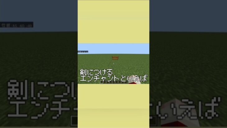 剣につけるエンチャント最強はなんだ！？#マイクラ #解説