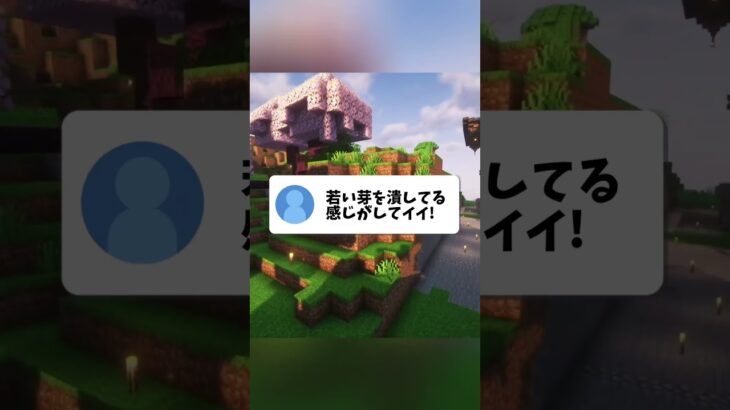 視聴者の悪行と言えない思ってる事 #マイクラ #マインクラフト