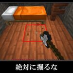 【衝撃】絶対に住みたくない村人の家があるシード＆超激レアなシード値５選