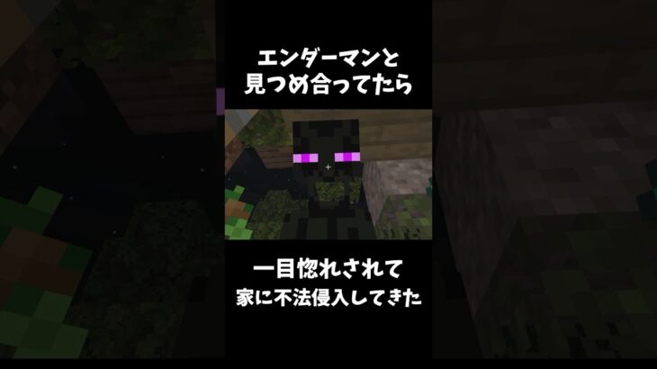 見つめ合ったら家に入ってきたw #マイクラ #マインクラフト #minecraft #shortvideo #ゲーム #ゲーム実況 #short #shorts #エンダーマン