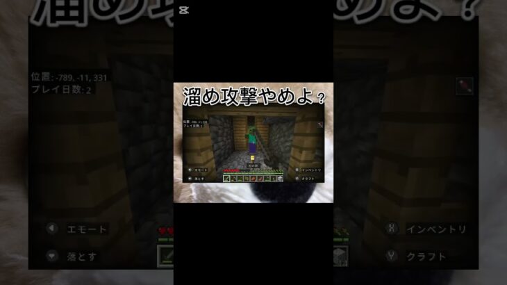 マイクラで1番イラつく瞬間#マイクラ #shorts