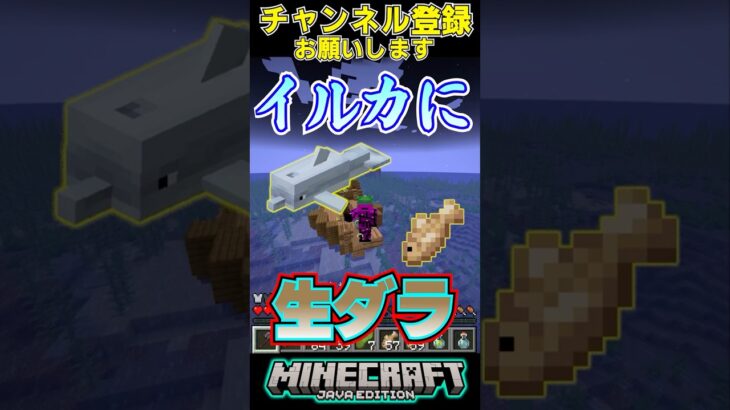 マイクラで沈没船探し！#マイクラ #マインクラフト #チャンネル登録お願いします #1000人目標 #minecraft #shorts #short #shortvideo #ドズル社