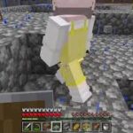 【マインクラフト】建築すすめてくよ【ずなクラ】#12