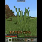 イヌクラサバイバル15     #まいんくらふと #マイクラ #ゆっくりマイクラ理想都市 #マインクラフト #minecraft #まいくら #実況 #ゲーム実況 #ゆっくり実況
