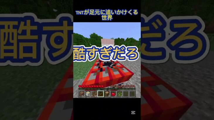 【マイクラチャレンジ1】足元にTNT追いかけてくる世界 #マイクラ #マイクラフト #マイクラチャレンジ