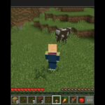 いぬクラサバイバル2    #まいんくらふと #マイクラ #マインクラフト #minecraft   #実況 #まいくら