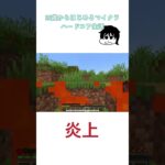 B U R N I N G #minecraftshorts #minecraft #minecrafthardcormode #マイクラ #マイクラ実況 #マインクラフト #マインクラフトハードコア