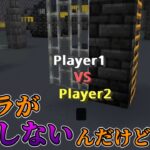 【雑談】カメラコマンドが上手く発動しない件【マイクラBE】