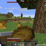 BEATING MINECRAFT HARDCORE ⛏️ (THE END)