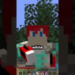 Coloured armour!! #minecraft #gaming #shorts #youtubeshorts #viralvideo #foryou #fyp
