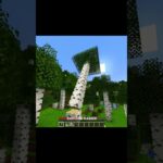 Crazy Minecraft mods💀