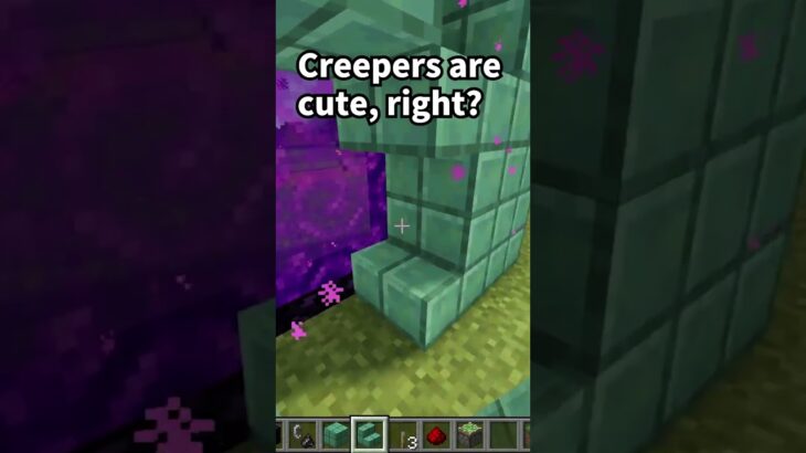 Creepers are cute, right? #minecraft #マインクラフト #マイクラ #shorts