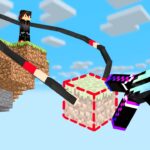 I Stole My Sister’s ONE BLOCK in Minecraft