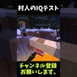 村人にIQテストをしてみた結果…wwww【マイクラ】