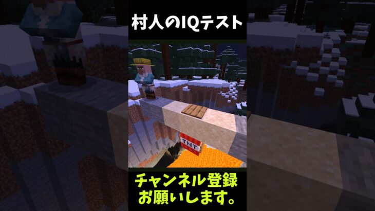 村人にIQテストをしてみた結果…wwww【マイクラ】