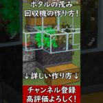 【Java1.21.5】超効率ホタルの茂み回収機の作り方！　#マイクラ  #マインクラフト #minecraft #Minecraft