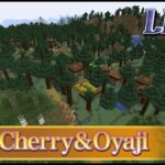 【MInecraft】タカさんとネザートンネル拡張作業【マイクラ建築】