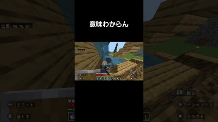 MOD等無しです#マイクラ #バグ#ラグ