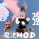 【#雑談】マイクラ魔法MOD勉強会【#ゆにステージ】