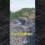 一度はハマったことあるよね 【MOD紹介】 #マイクラ #mod紹介 #minecraft