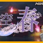 【#夜空の春】建築メンバーが観光します④今回で最後です。/Minecraft【観光配信】