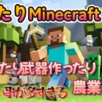 【Minecraft】エンチャントしたりレベル上げたり！