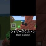Minecraft Ranking (マイクラ格付け) #shorts #minecraft #マイクラ